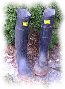 gumboots